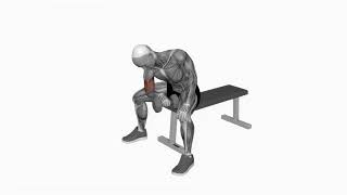 Dumbbell Reverse Grip Concentration Curl