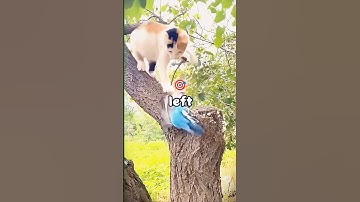 What Is Something Bad You Have Done with No Regrets?  #reddit #shortstory #storytelling