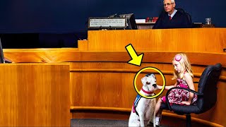 Una niña hace señas a su perro. El juez se da cuenta y detiene el juicio cuando el perro reacciona