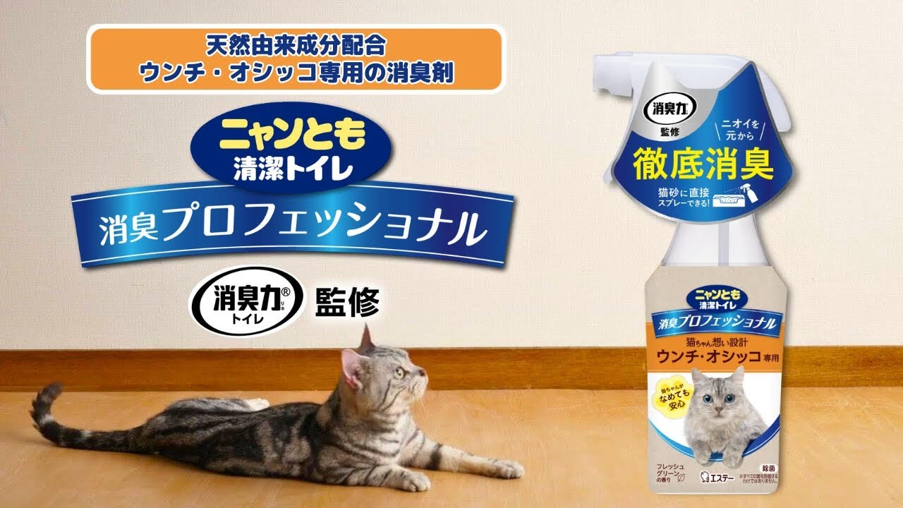 ニャンとも清潔トイレ 消臭プロフェッショナル スプレー（つめかえ