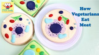 This animal cell is a COOKIE! | Biology cookie