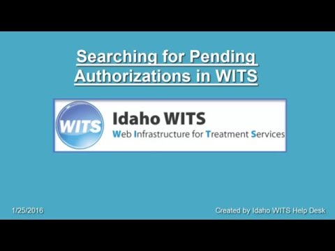 Searching for Pending Authorizations in WITS