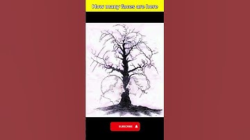 Mind-Bending Tree Illusion Count the Hidden Faces! #aunvision #illusion #viral