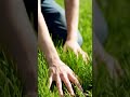 #touchgrass #ai