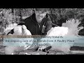 Remembering Bede Carmody of A Poultry Place - Dear Human (A World Dreamed Up By Bede)