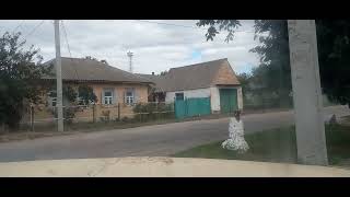 картинка: 3 октября 2025 г.