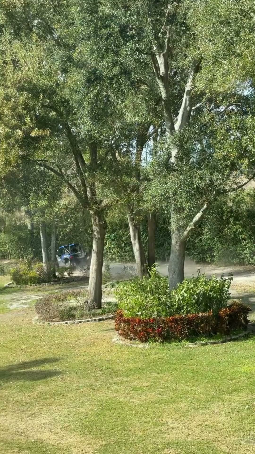 Mom catches dad and son riding their four wheelers! #shorts