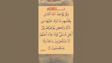 سورة النحل بصوت رائع جدا