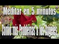 Meditar en 5 minutos. Confío mis Problemas a los Ángeles.