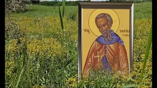 19 июня Илларионов день. Прислушайтесь к советам близких людей - они  могут оказаться верными