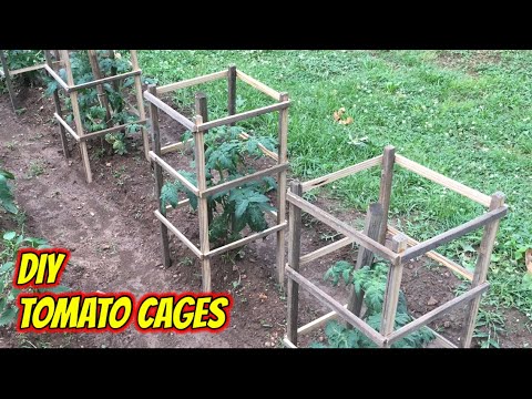 Easy DIY TOMATO CAGES