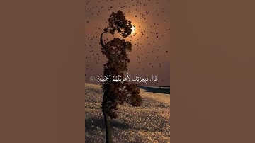 قرآن كريم بصوت جميل | محمد اللحيدان #قران_كريم #اكسبلور #راحة_نفسية #quran