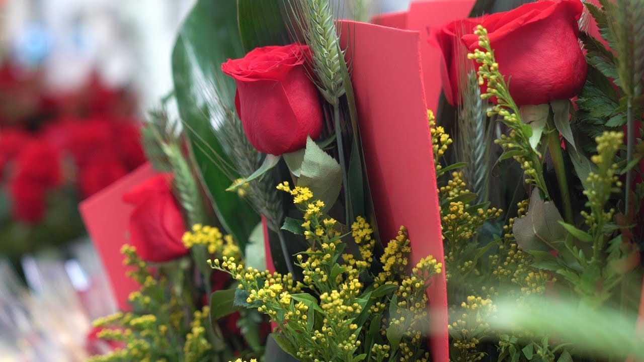 barcelona catalonia plaza hotel Sant Jordi 2018