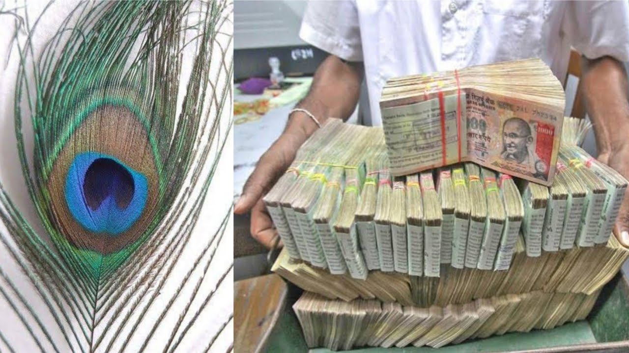 मोर पंख का फ्रेम घर के इस जगह पर लगादो, सुख संपत्ति,धन दौलत खींचे चले आयेगा बिना कमाए!