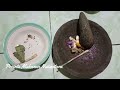 Cara Memasak Entok Ungkep