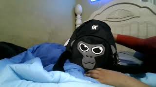 i got the gorilla tag backpack!#gorillatag #vr #gorilatagvr