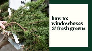 How To: Windowbox Spruce Tops & Fresh Greens
