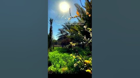 {وَبَشِّرِ الْمُؤْمِنِينَ بِأَنَّ لَهُم مِّنَ اللَّهِ فَضْلًا كَبِيرًا}#سوره_الاحزاب #الشيخ_سيد_سعيد