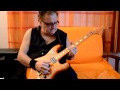 Dmo de guitare personnalise grand master flying dolphin par awesome john