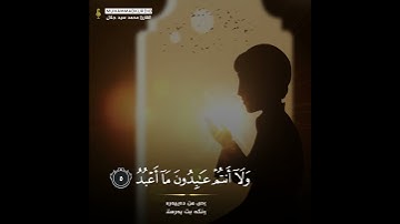 سورةالكافرون للقارئ محمد جلال الكردي