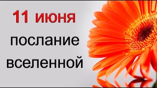 ПОСЛАНИЕ ВСЕЛЕННОЙ на 11 июня. *Эзотерика Для Тебя*