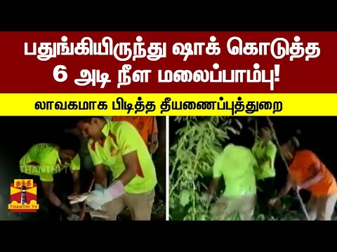 பதுங்கியிருந்து ஷாக் கொடுத்த 6 அடி நீள மலைப்பாம்பு! - லாவகமாக பிடித்த தீயணைப்புத்துறை