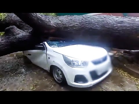 Best Fails of The Year I 2022