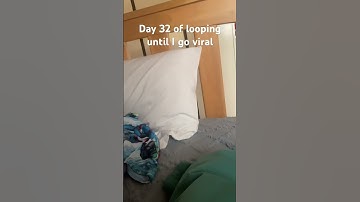 Day 32 of looping until I go viral #loop #funny