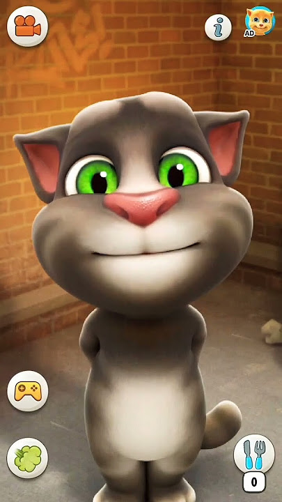 #cat #nayenawelidulhanparpehledin #funny #hindiganabhojpuriganakaiselikhe #talkingtom #yashomatimaiy