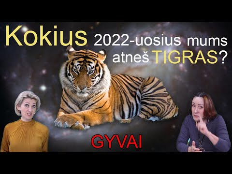 Video: Ko tikėtis Kinijoje – kultūrinis šokas