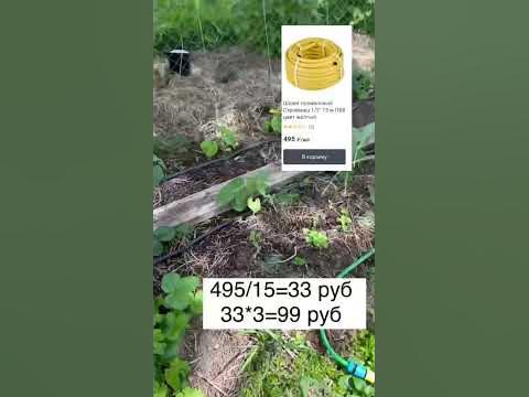 Стоимость капельного полива - YouTube