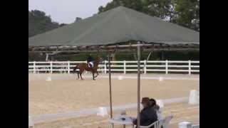 DSCN2981.AVI