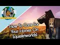 How to care for your horses on Equestriworlds