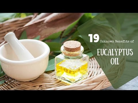 19 Benefits of Eucalyptus Oil You Never Knew | Health & Beauty Tips