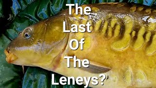 Forgotten Farm Ponds - The Last Of The Leneys?