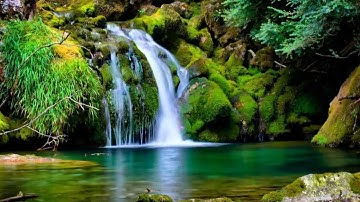 Cafe Miet Vườn - Cẩm Ly ft Quốc Đại