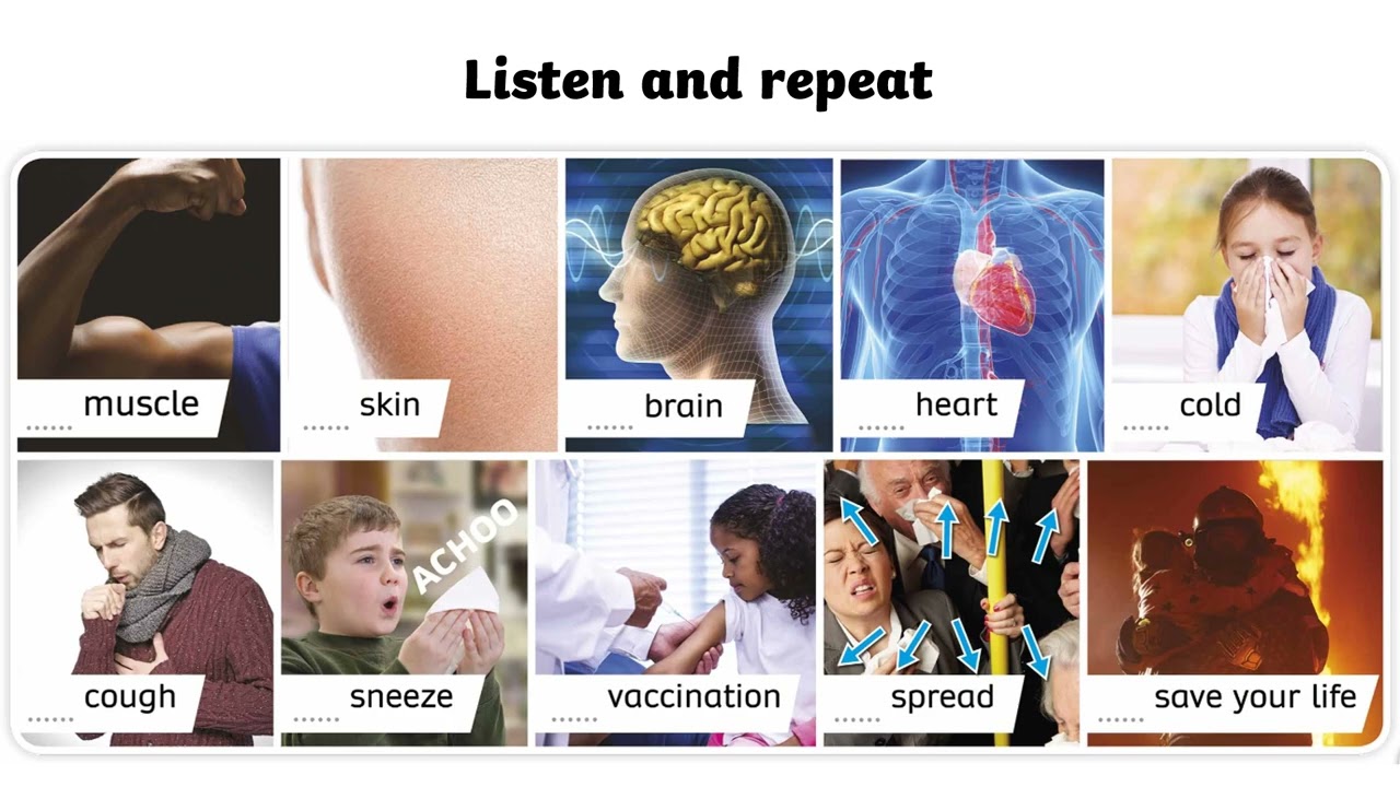 NIK3  - Unit 10 - Vocab 2