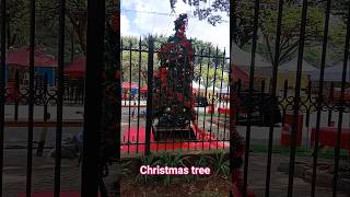 Trending Christmas Decorations This Year