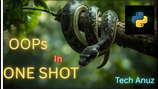 Python OOP | Interview & Semester Exam Preparation