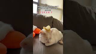 stacking journey pt.6 (finally got another player) Profile