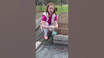 2 хитрых способа посадки моркови ❤️