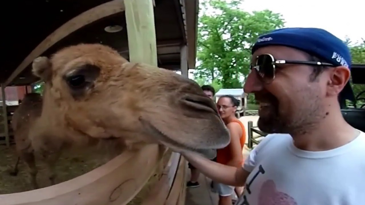 360 movie Spin Me - YouTube