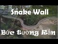 Snake Wall - Bức tường Rắn ở Florida