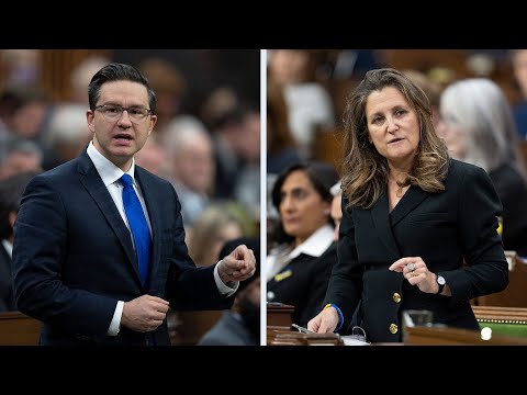 "Most Canadians don't have a chauffeur": Poilievre targets Freeland during question period