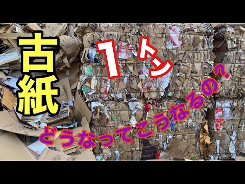 古紙業者に潜入！Infiltrate a used paper trader