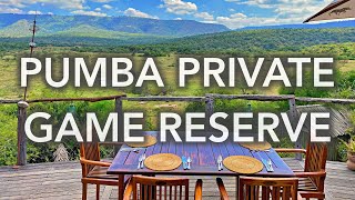 Pumba Private Game Reserve - 4K video tour of the home to the rare white lion