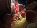 What Happens When You Drink Coffee? (3D Anatomy) #shorts #anatomy #humanbody