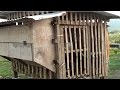 Odorless Chicken Coop with Vermiculture at MADE Farms Philippines