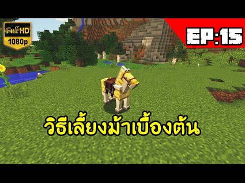 NUENGZKUNG - Minecraft(1.8.8) #15 วิธีเลี้ยงม้าเบื้องต้น