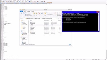 Tenchu Demo PS1 ( PAPX-90029) Hidden Dev Tools
